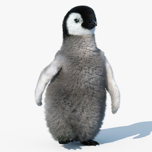 emperor penguin chick fur 3d model