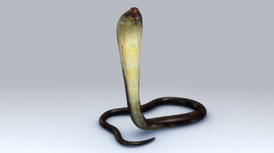 3d king cobra snake model