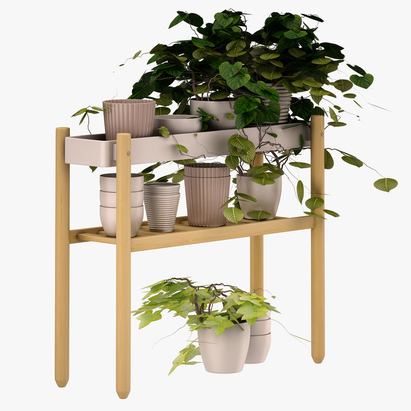 max ikea satsumas flower