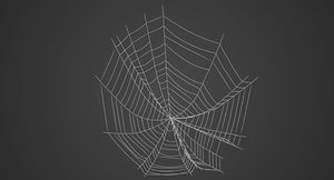 3d spider web