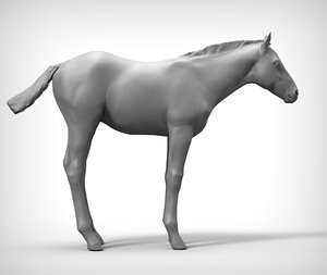 3ds horse foal
