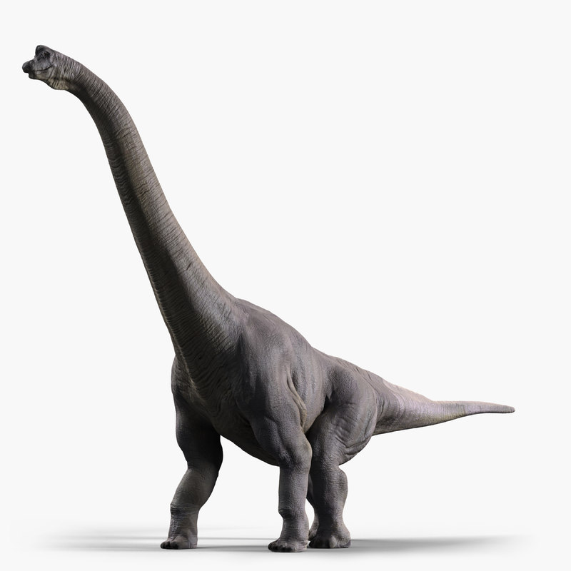 brachiosaurus 3d view