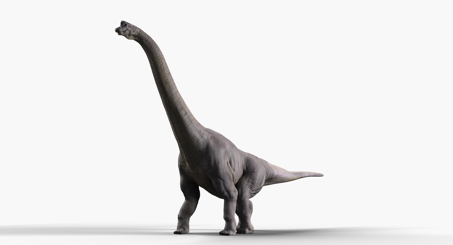 brachiosaurus 3d view