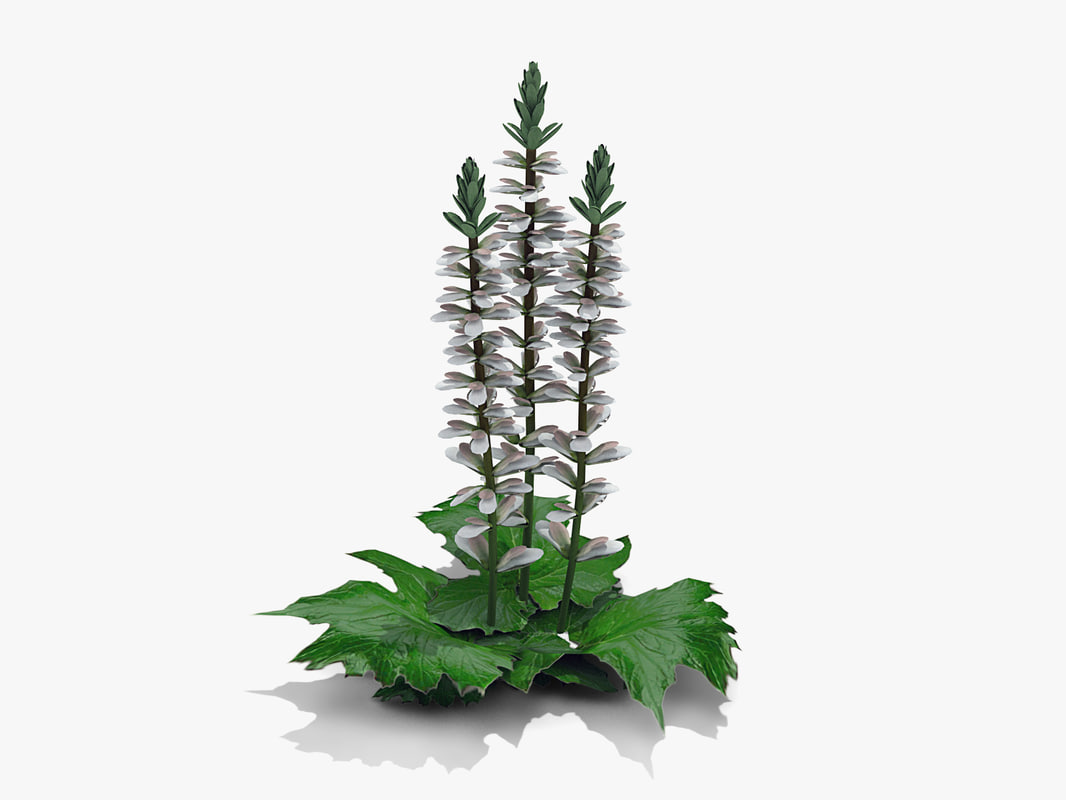 3d plant grecian pattern