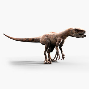 velociraptor dinosaur 3d model