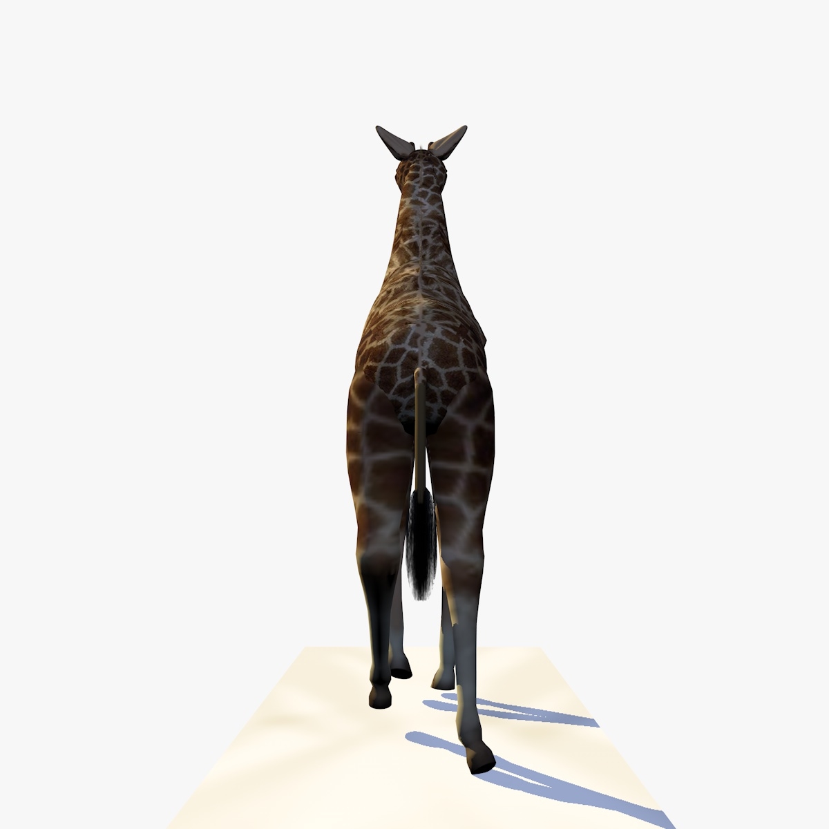 3d giraffe walking animation