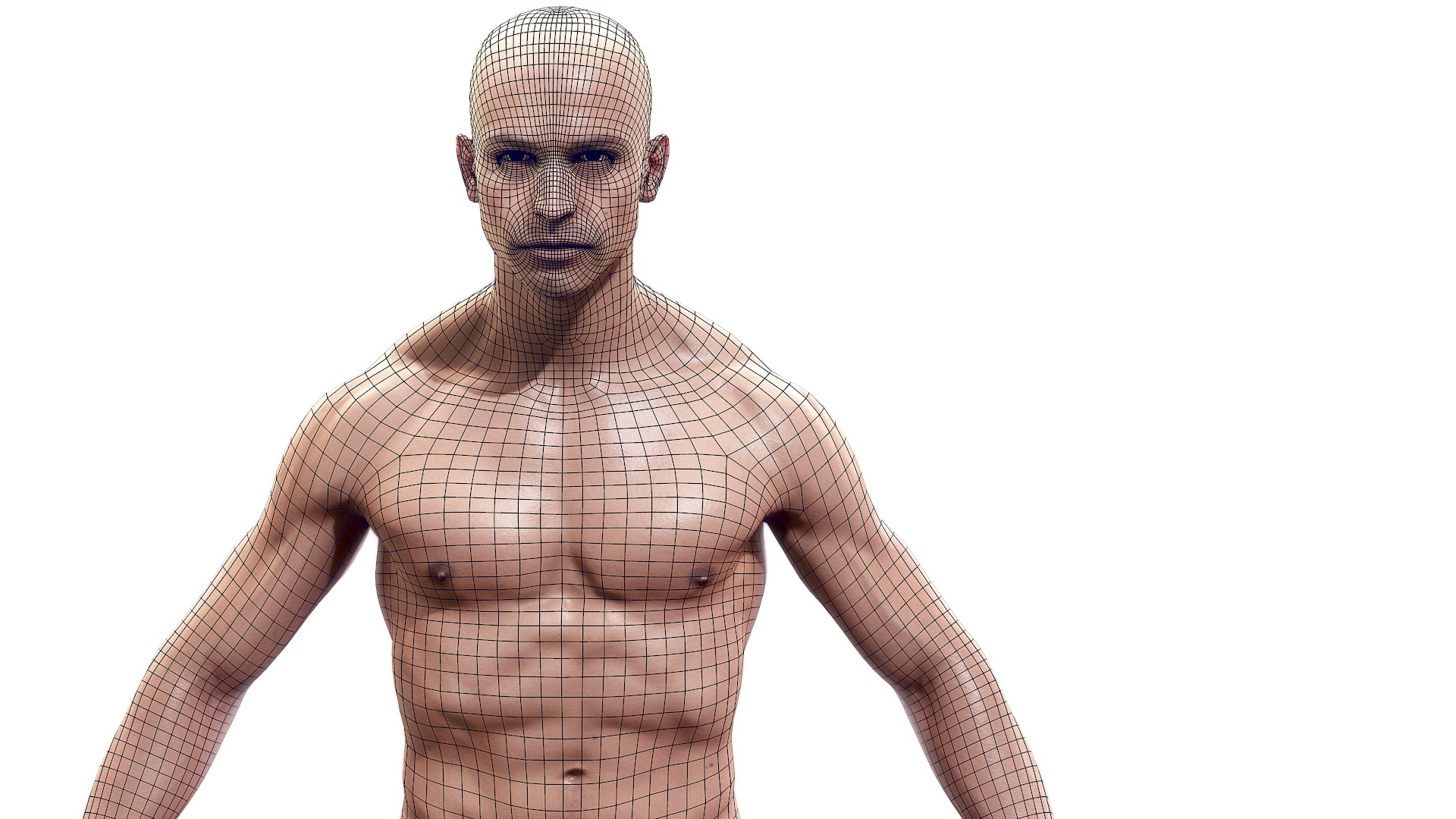man character body anatomy 3d model
