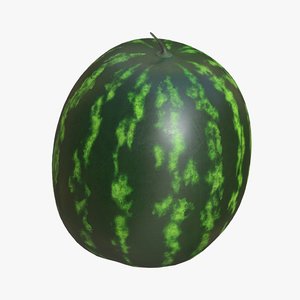 Misslewatermelon