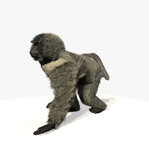 3d c4d walking baboon animations