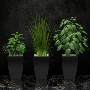 3d model plants kitchen