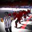ice hockey team red 3d model