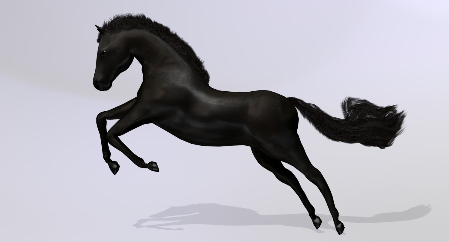 horse black animation 3d max https://static.turbosquid.