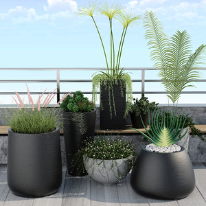 3d plants model