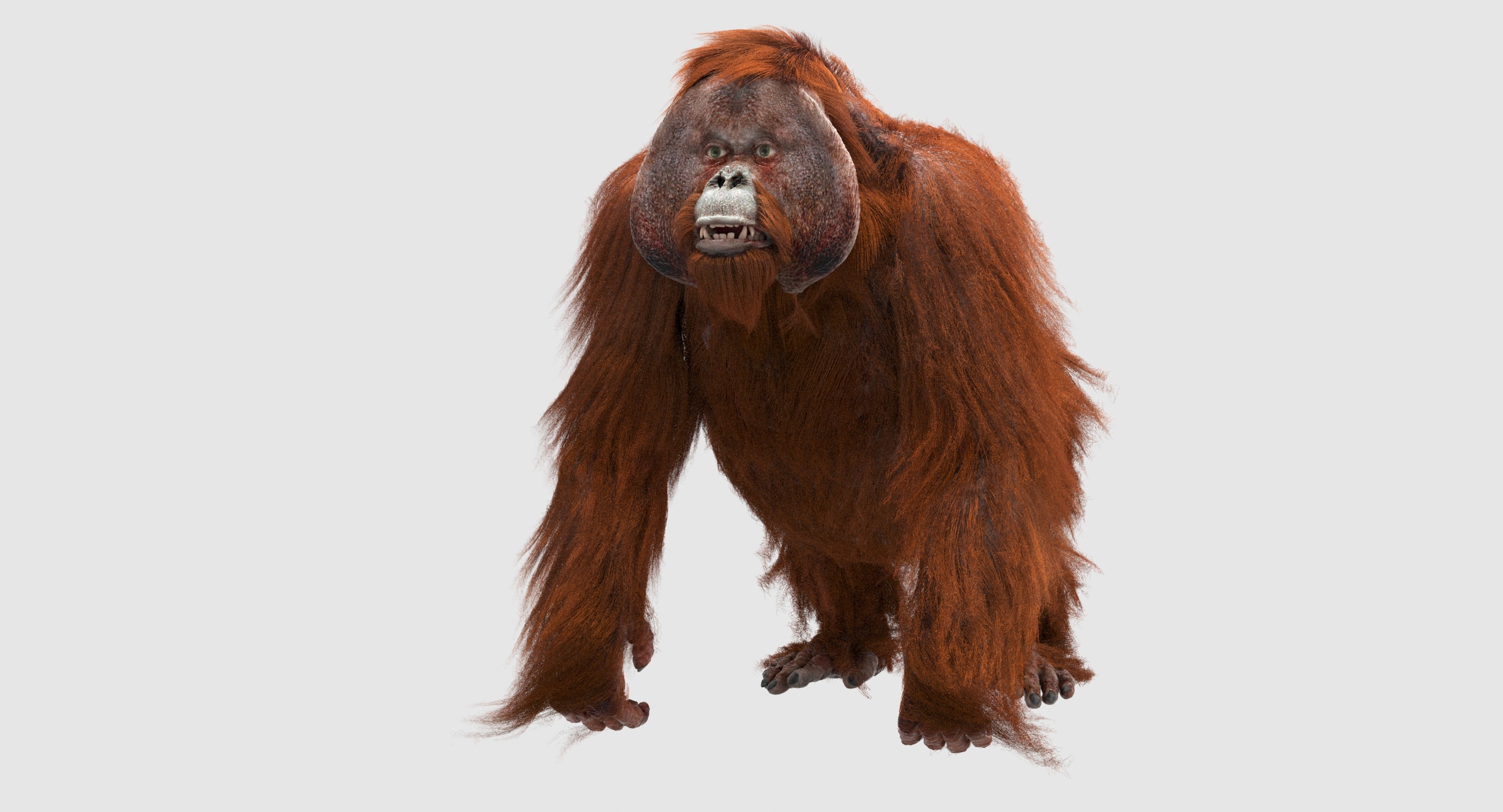 orangutan 3d model