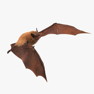 max bat fur rigged