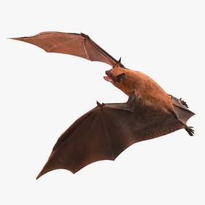 bat rigged 3d model