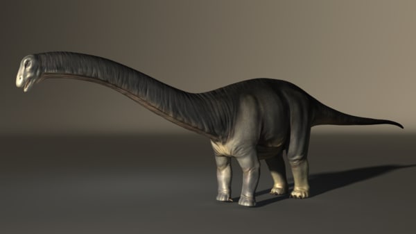 apatosaurus 3d view