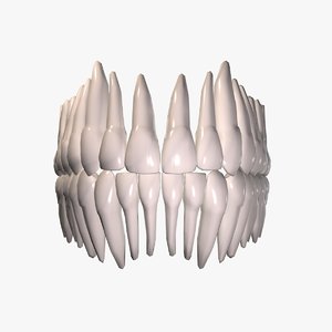 3d model teeth