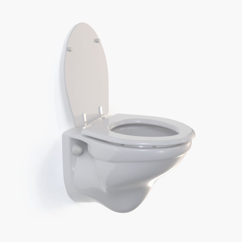 wall mounted toilet max