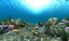 underwater world animation 3d model