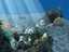 underwater world animation 3d max