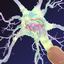 neuron synapses myelin 3d model