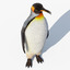 3d king penguin fur rigged model