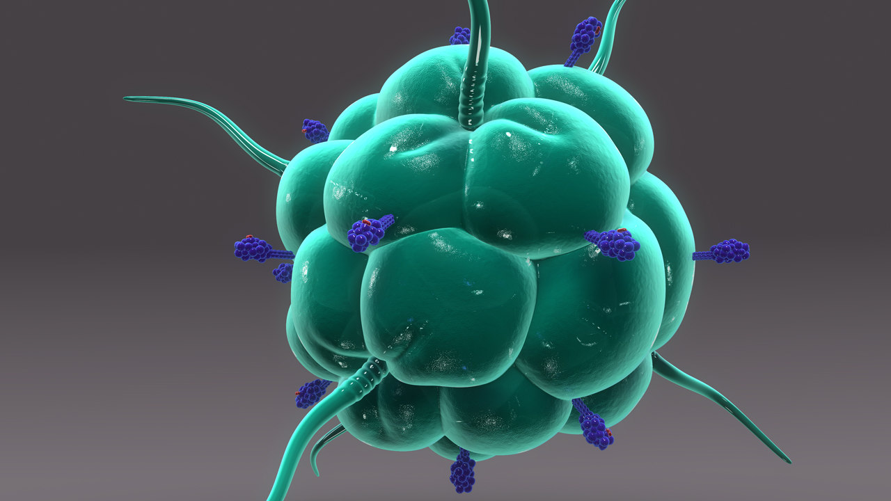 macrophage antigen 3d obj