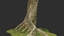 tropical tree scan 3d model