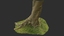 tropical tree scan 3d model