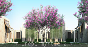 2 4 tree flowers 3d model