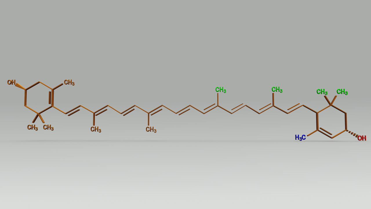 Xanthophyll Structure Obj