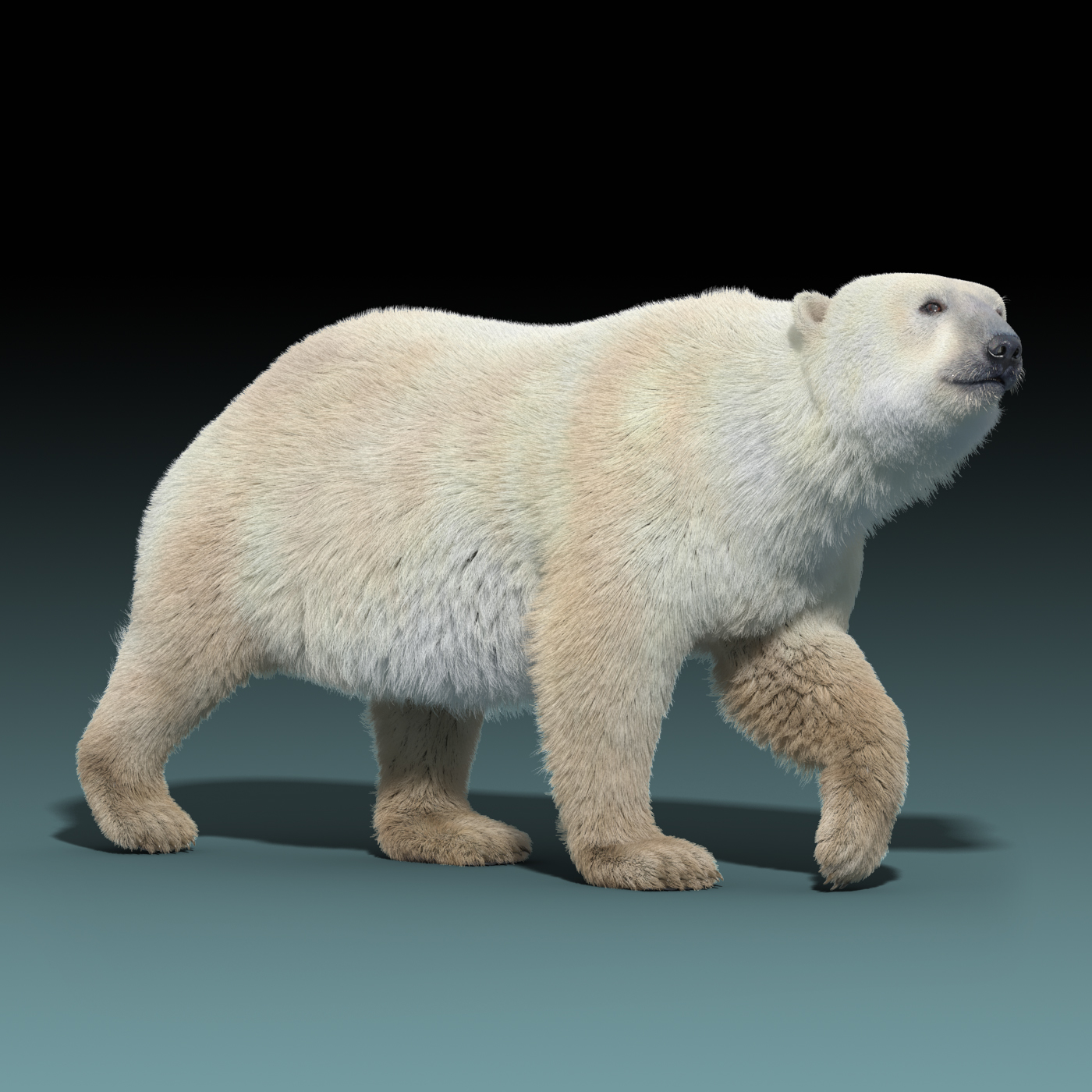 fur real polar bear cub