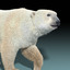 max polar bear group fur