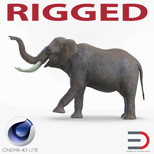 elephant rigged 3d model
