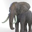 3d elephant rigged model