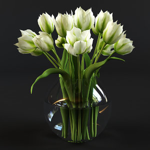 green tulips 3d max