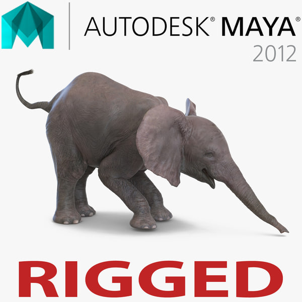 Modele 3d De Bebe Elephant Truque Pour Maya Turbosquid