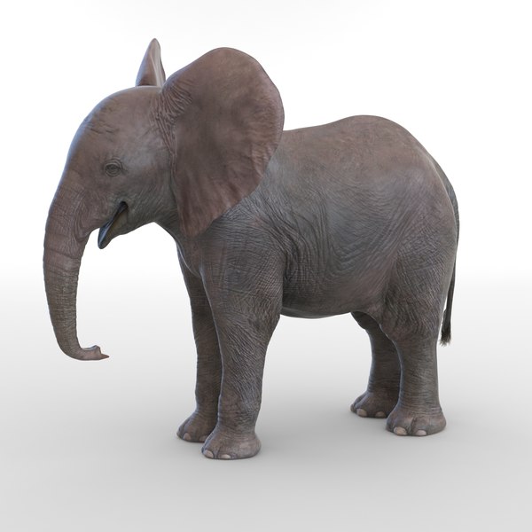 Modele 3d De Bebe Elephant Truque Pour Maya Turbosquid