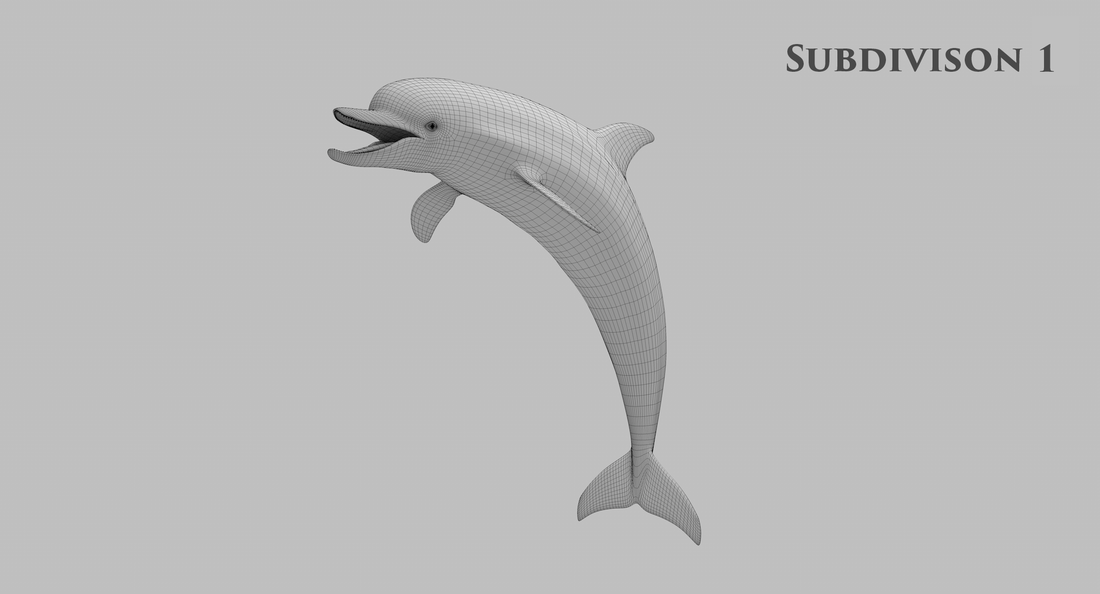 普通宽吻海豚(tursiops truncatus)3d模型