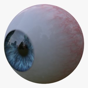 realistic human eye 3d model