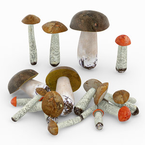 3ds max mushroom boletus