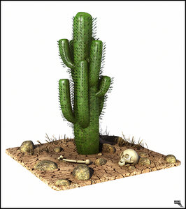 cactus cartoon 3d model