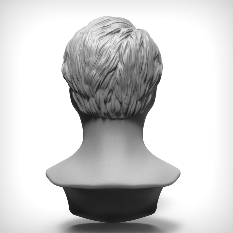 3d obj expressive hairstyle