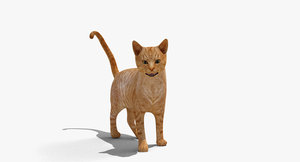 rigged domestic cat 3d model