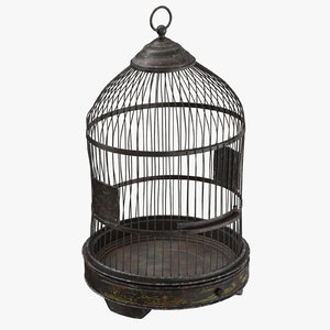 old bird cage max