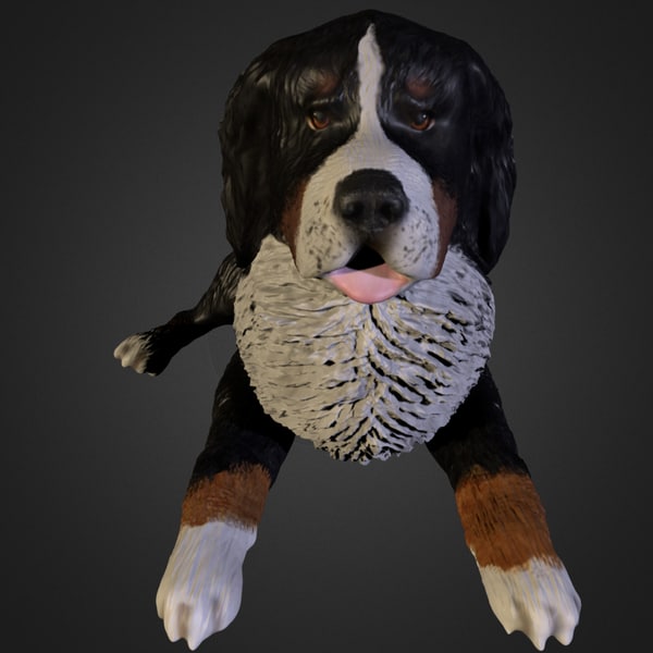 bernese mountain dog 3ds