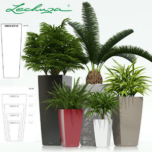 3d model of plants lechuza cubico