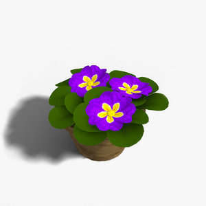 flower pot max