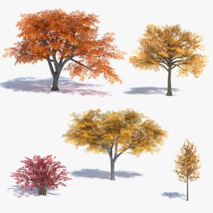 fall tree 3ds